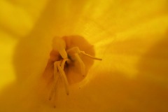 De-Twijne-KidzKlix-13