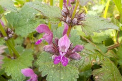 De-Twijne-KidzKlix-14