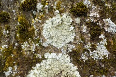 De-Twijne-KidzKlix-16