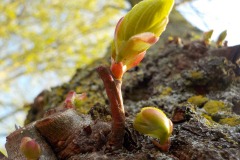 De-Twijne-KidzKlix-17