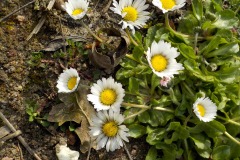 De-Twijne-KidzKlix-18