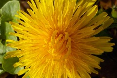 De-Twijne-KidzKlix-19