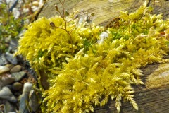 De-Twijne-KidzKlix-20