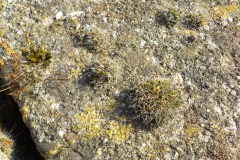 De-Twijne-KidzKlix-21