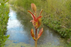 De-Twijne-KidzKlix-22