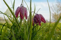 De-Twijne-KidzKlix-23