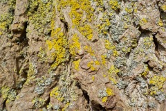 De-Twijne-KidzKlix-24