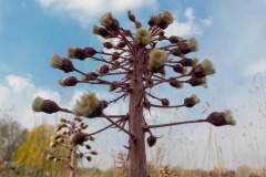 De-Twijne-KidzKlix-25