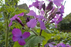 De-Twijne-KidzKlix-26