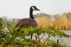 De-Twijne-KidzKlix-27