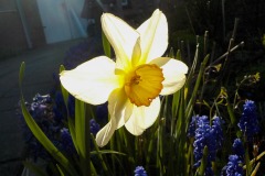 De-Twijne-KidzKlix-29