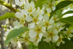 De-Twijne-KidzKlix-30