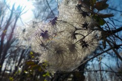 De-Twijne-KidzKlix-31