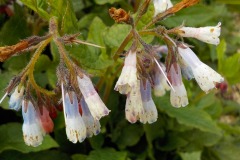 De-Twijne-KidzKlix-32