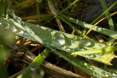 De-Twijne-KidzKlix-33