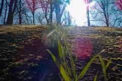 De-Twijne-KidzKlix-34