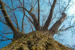 De-Twijne-KidzKlix-35