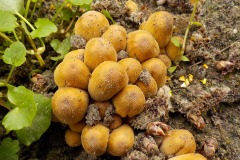 De-Twijne-KidzKlix-36