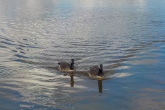 De-Twijne-KidzKlix-37