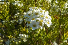 De-Twijne-KidzKlix-38