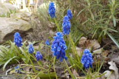 De-Twijne-KidzKlix-39