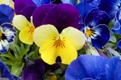 De-Twijne-KidzKlix-40