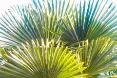 De-Twijne-KidzKlix-41