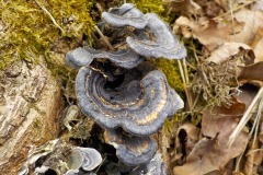 De-Twijne-KidzKlix-43