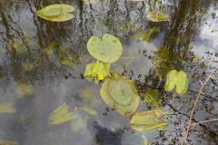 De-Twijne-KidzKlix-44