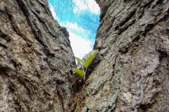 De-Twijne-KidzKlix-46