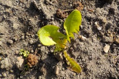 De-Twijne-KidzKlix-48