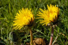 De-Twijne-KidzKlix-49