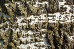 De-Twijne-KidzKlix-50