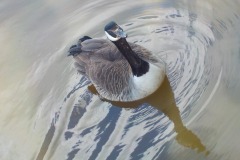 De-Twijne-KidzKlix-51