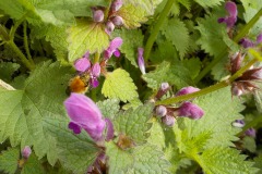 De-Twijne-KidzKlix-52