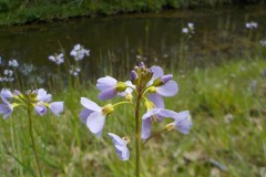 De-Twijne-KidzKlix-53