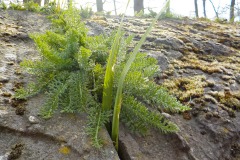 De-Twijne-KidzKlix-54