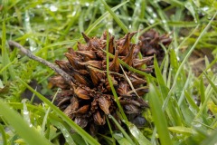 De-Twijne-KidzKlix-55