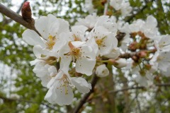 De-Twijne-KidzKlix-56