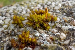 De-Twijne-KidzKlix-57