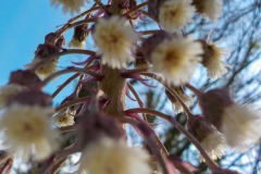 De-Twijne-KidzKlix-58