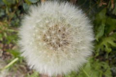 De-Twijne-KidzKlix-59