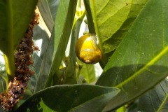 De-Twijne-KidzKlix-60