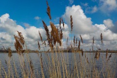 De-Twijne-KidzKlix-61