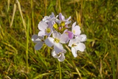 De-Twijne-KidzKlix-62