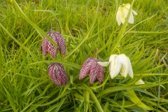 De-Twijne-KidzKlix-63