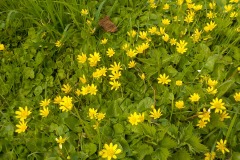 De-Twijne-KidzKlix-64