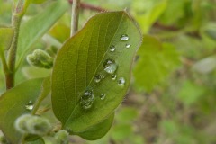 De-Twijne-KidzKlix-66