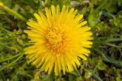 De-Twijne-KidzKlix-67