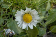 De-Twijne-KidzKlix-68